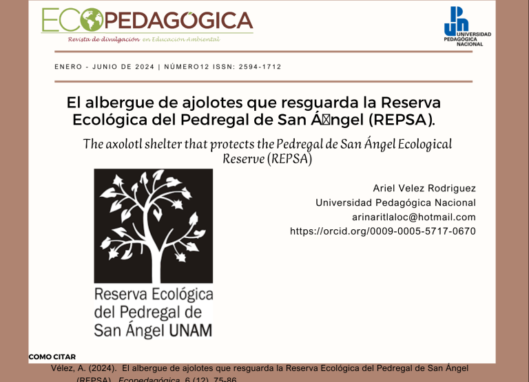 El albergue de ajolotes que resguarda la Reserva Ecológica del Pedregal de San Ángel (REPSA).